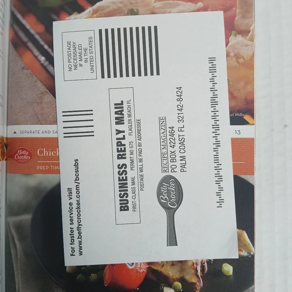 Betty Crocker Tasty Chicken & Burger Recipe Cookbook Pamphlet 2 For One 2010